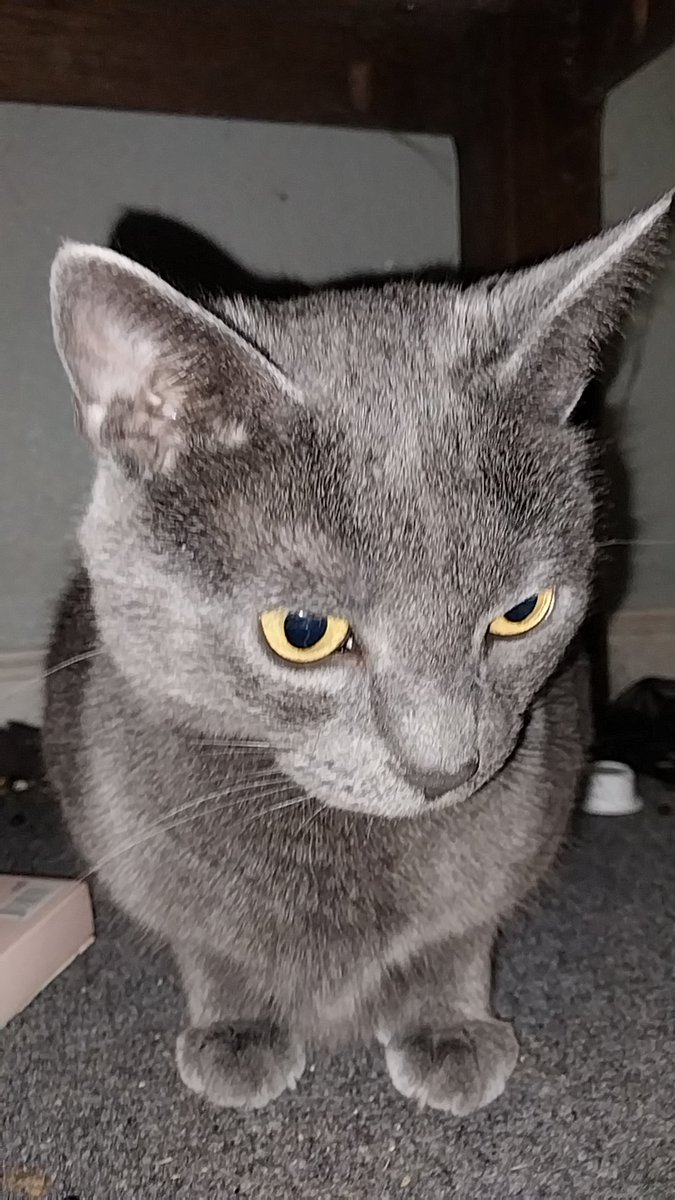 Brax😏 tweet media