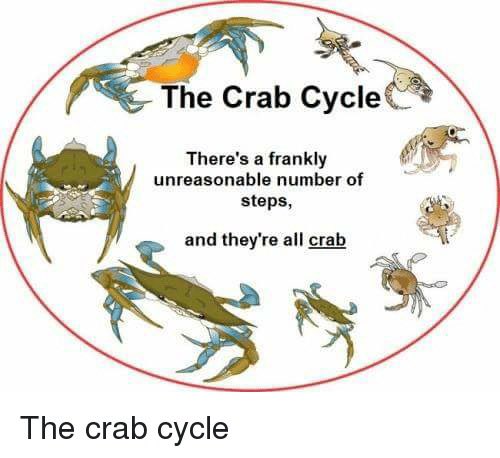 BestArmBot's tweet image. FRIENDLY REMINDER: