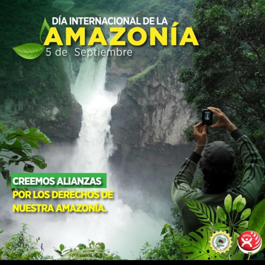 somecdeeloro's tweet photo. La informalidad es un sello distintivo del mercado laboral en la selva amazónica. ¡Exigimos empleos formales y decentes para los habitantes de la Amazonía! #ProtectTheAmazon #BWIActForAmazon #BeatTheHest #JustTransitionNow
@BWIglobal https://t.co/O2CgAvXrLP