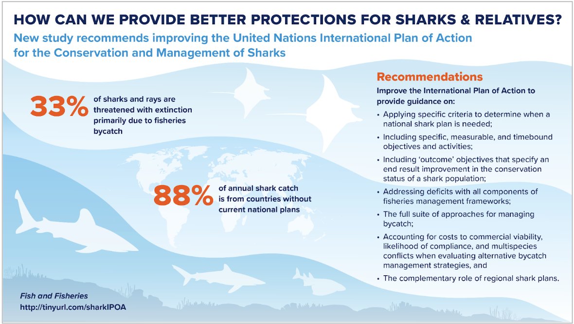 Gilman_bycatch's tweet photo. New OA Fish &amp; Fisheries article on progress towards implementing the United Nations FAO international plan of action on sharks https://t.co/WxYuSePdew #fisheries #bycatch #RFMO https://t.co/p5eGYuDKz9