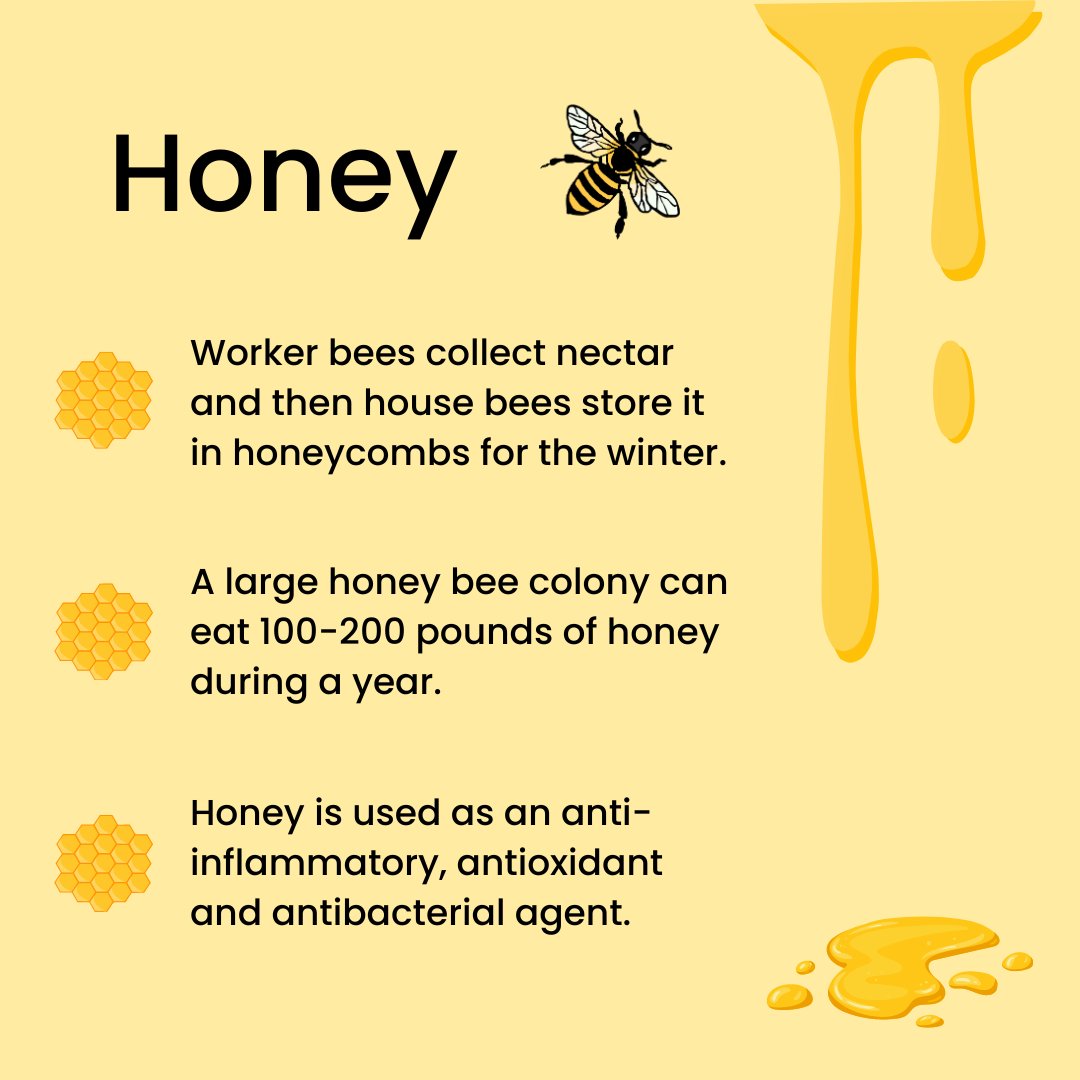 It's time for "What's that?" Wednesday: Honey!

September is National Honey Month! Spend the month celebrating the work of bees and beekeepers. Honey is most commonly used as a natural sweetener. Try it in coffee, on toast, or in oatmeal.