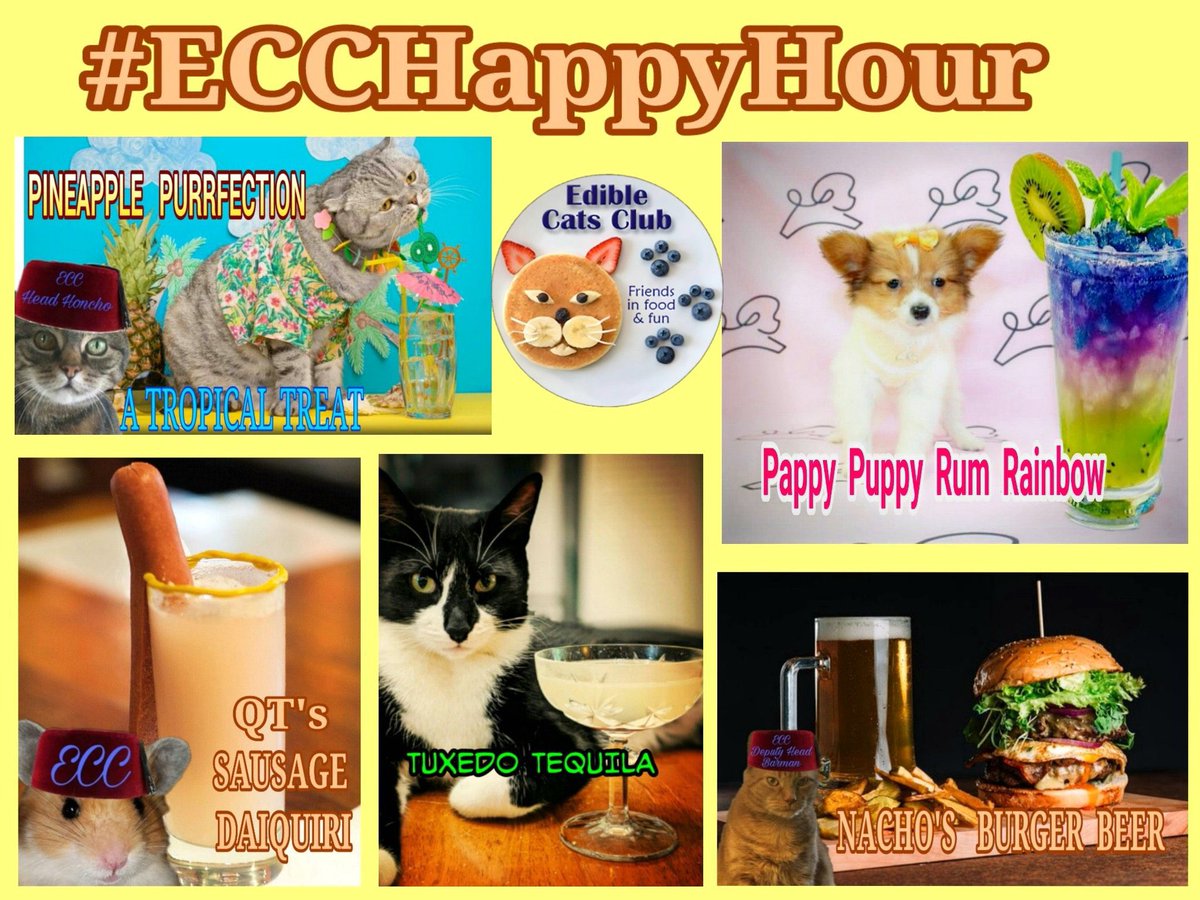 Buddy Boo ❤️ Olly forever Babey Smudge twoz tweet media