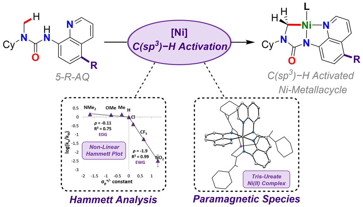 Ben Nadeau (@b__nadeau) on Twitter photo Interested in C-H activation?
Check out our recent mechanistic work in <a href="/Orgmet_ACS/">Organometallics</a> on the nickel-mediated C(sp3)-H activation of tertiary ureas where we have uncovered paramagnetic speciation to be the result of 8-aminoquinoline DG electronics .
doi.org/10.1021/acs.or… Interested in C-H activation?
Check out our recent mechanistic work in <a href="/Orgmet_ACS/">Organometallics</a> on the nickel-mediated C(sp3)-H activation of tertiary ureas where we have uncovered paramagnetic speciation to be the result of 8-aminoquinoline DG electronics .
doi.org/10.1021/acs.or…