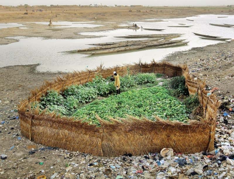 Helios E.M. tweet media