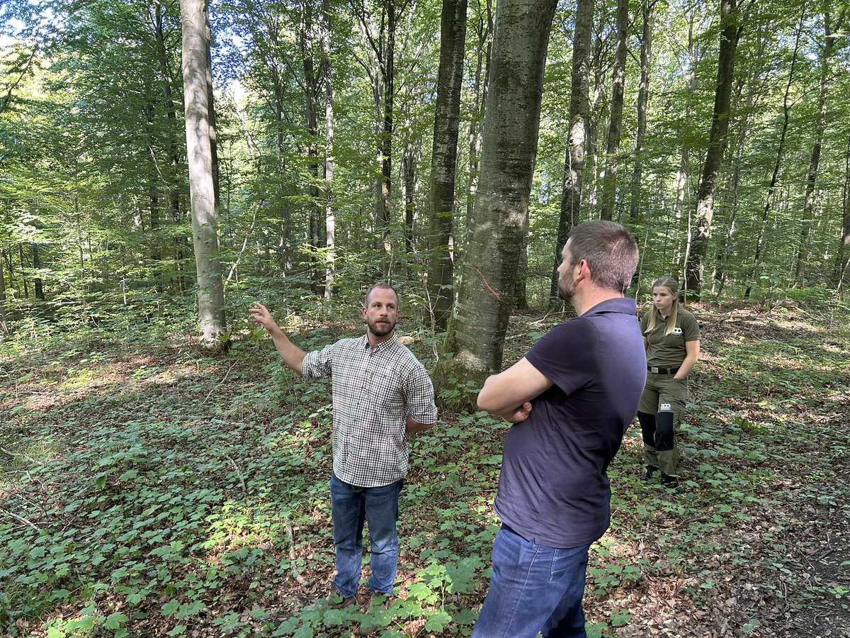 KofodKristensen's tweet photo. Virkelig inspirerende @FSCDanmark bestyrelsesseminar i Vesterskoven v Ringsted hvor #Skovdyrkerne og #zoo viste os hvad man kan gøre for at give #biodiversiteten mere plads i produktionsskoven og hvordan den kan måles og dokumenteres gennem FSC økosystemtjenestecert #dkgreen https://t.co/DAXFnnF8n9