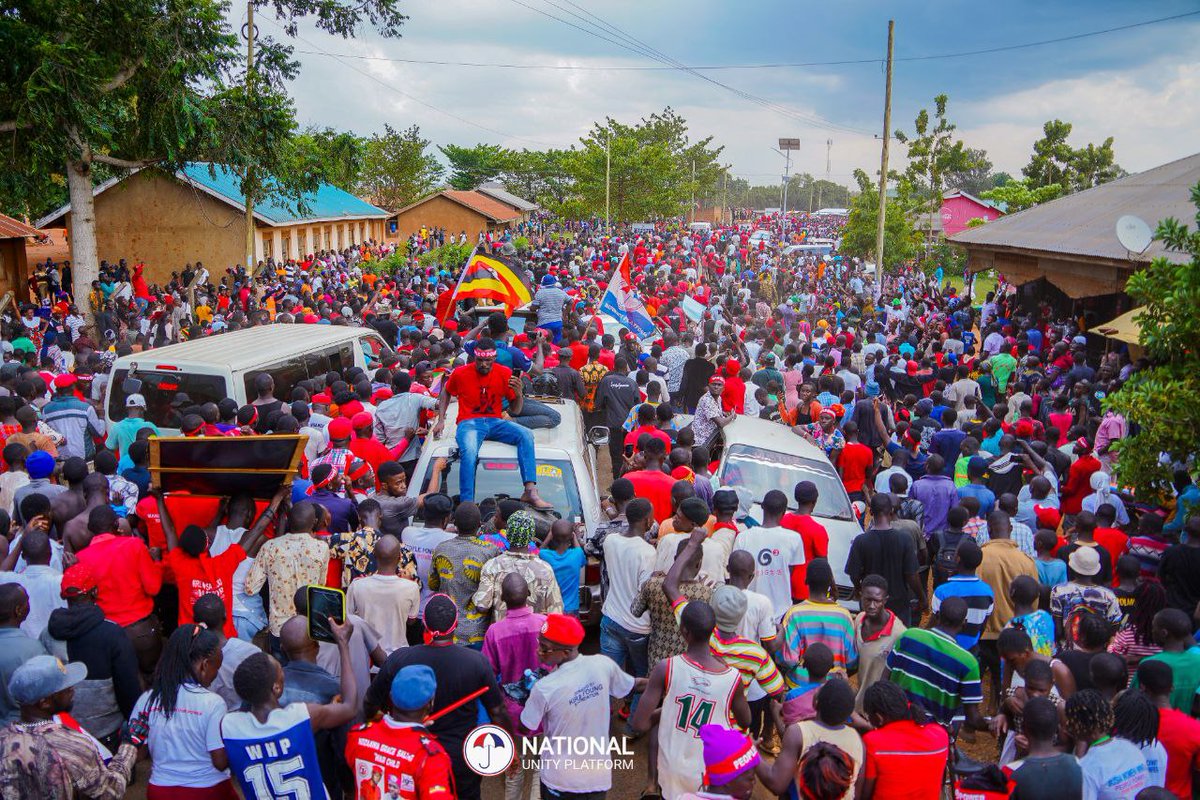 BOBI WINE tweet media