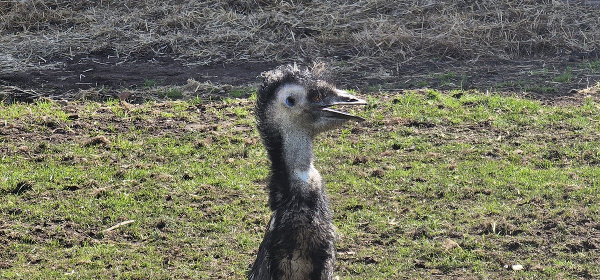 No thoughts. Just smiles