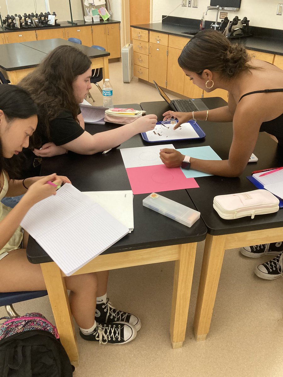 Mrs. Makrinos tweet media