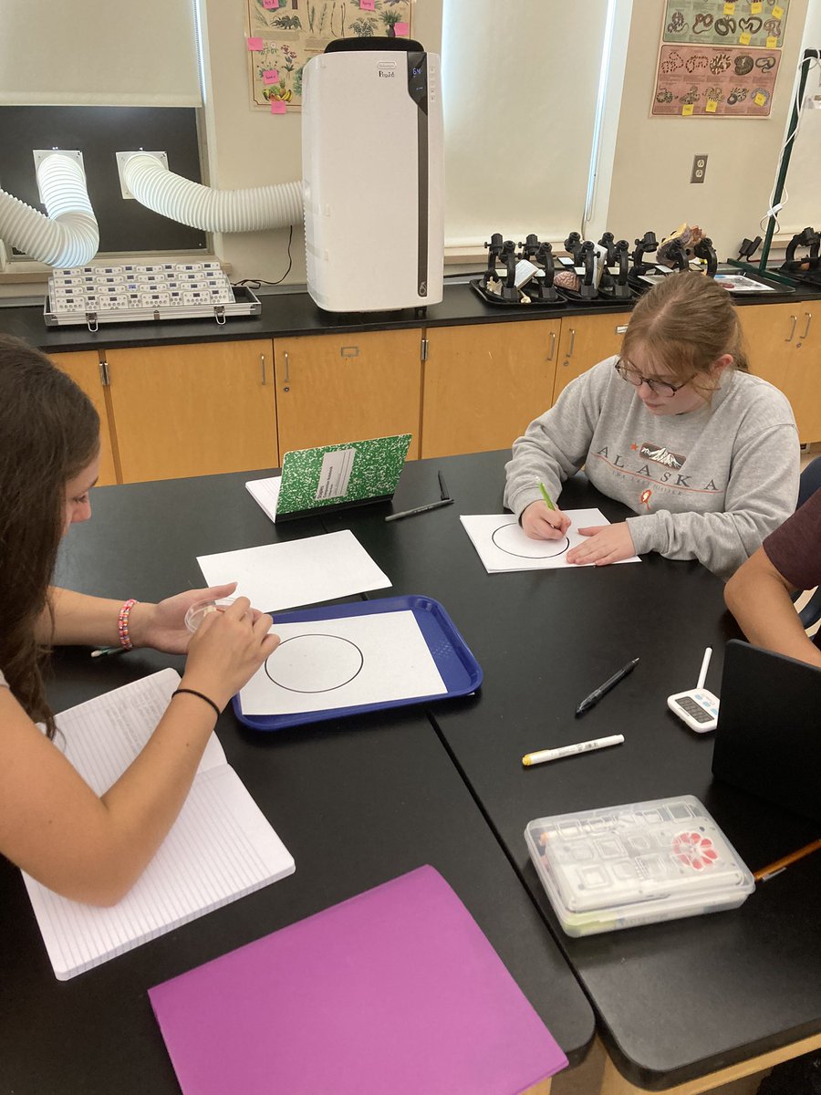 Mrs. Makrinos tweet media