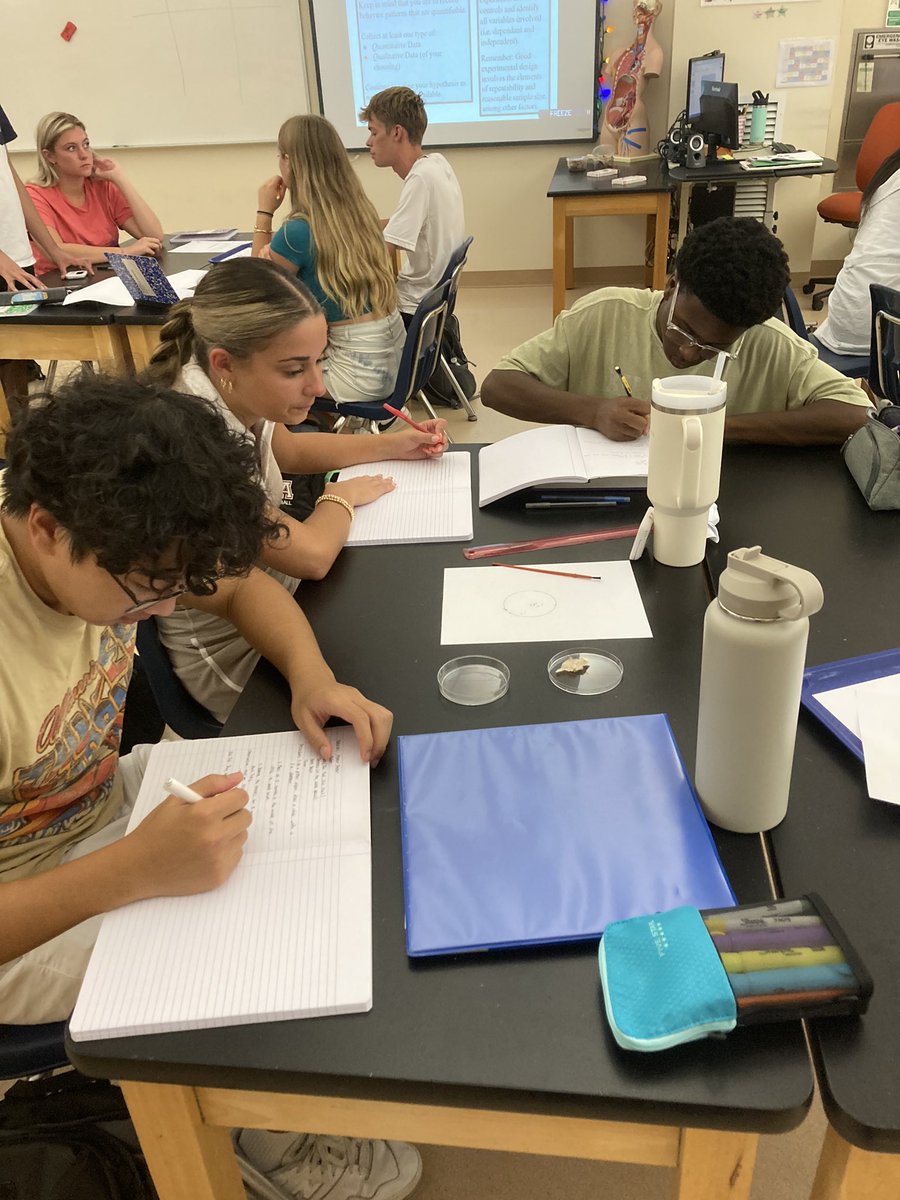 Mrs. Makrinos tweet media