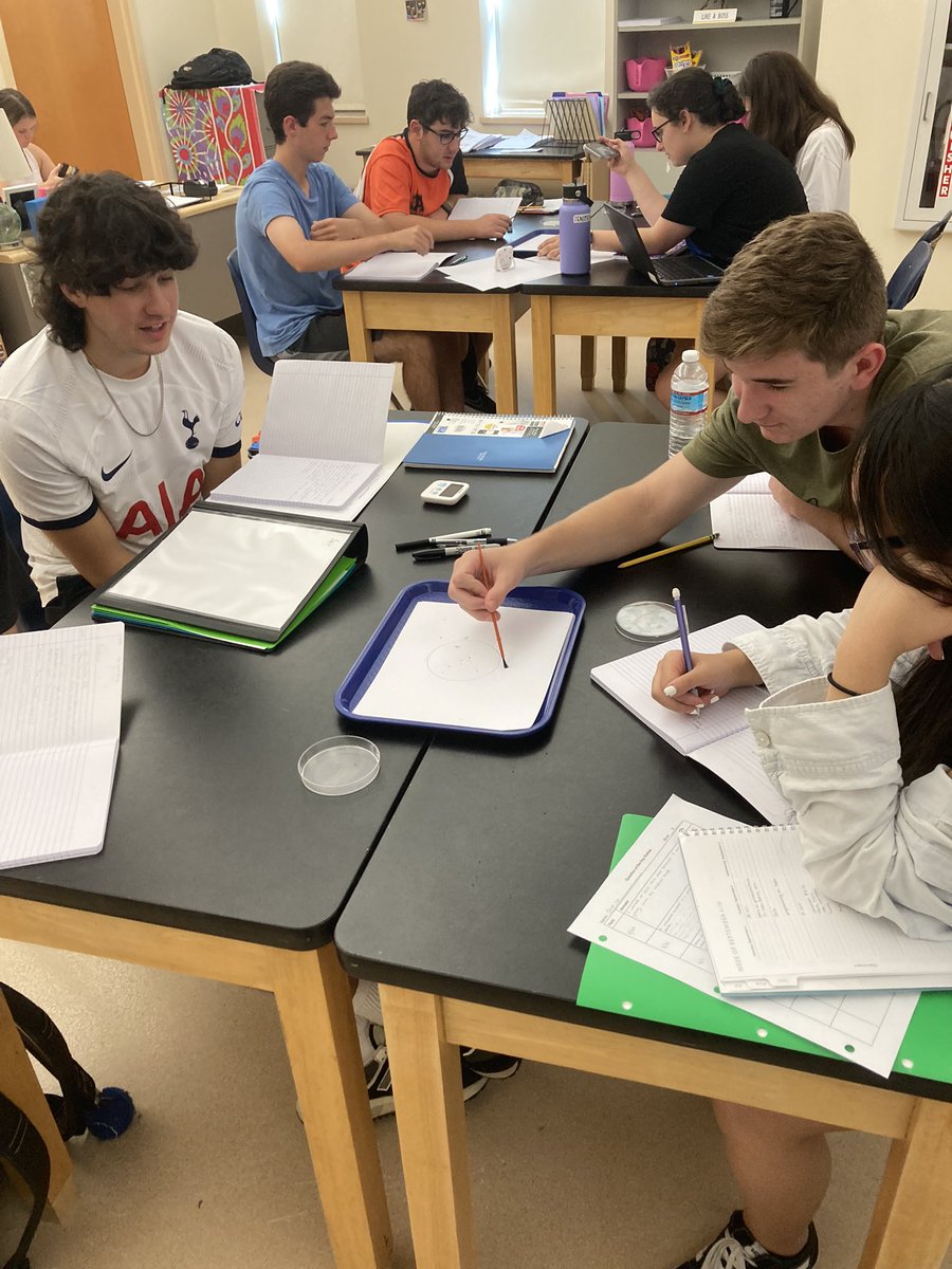 Termite lab design in AP Bio today! Great creativity and scientific inquiry going on!