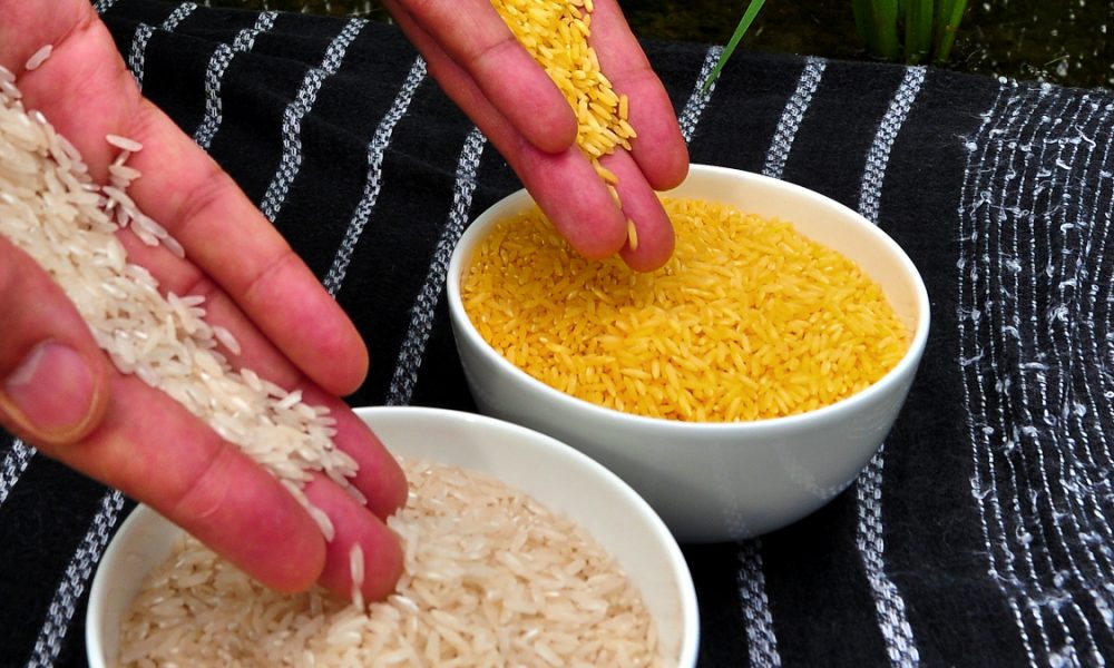 Growing Bio-Fortified Rice to Boost Guyana's Food Security: In recent years, the agricultural sector in Guyana has experienced significant growth and development. As part of the country’s efforts to enhance food security and promote agricultural growth,… dlvr.it/SvgbRZ
