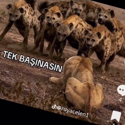 AzizKaraba84342's tweet photo. #YeniProfilResmi https://t.co/qfkBhLv0oD