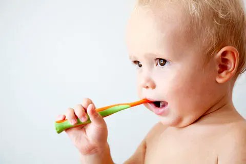 ielproject's tweet photo. Babies, toddlers, and preschoolers need to care for their teeth, too! Check out our tip sheet to learn more. 🦷
#TipSheetTuesday #DentalHealth #IllinoisEarlyLearning
https://t.co/wLKUeR2nlv https://t.co/sRz2qmxLYt