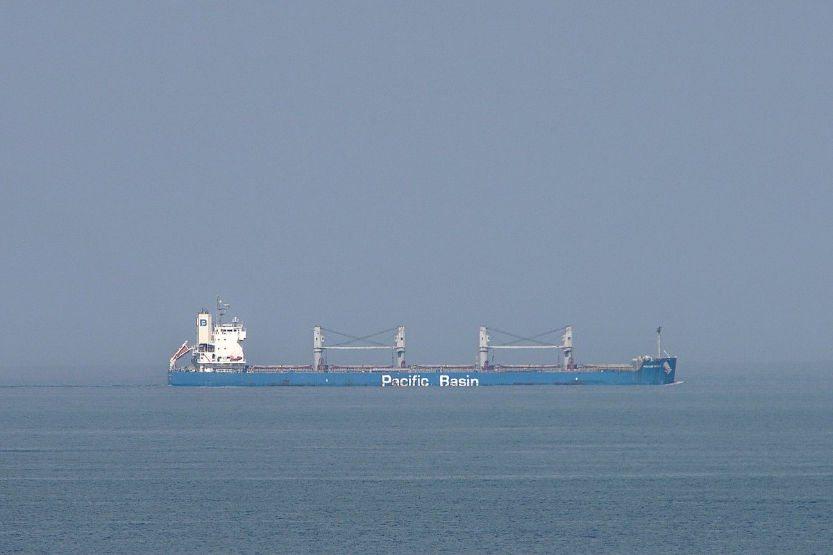 The PENGUIN ISLAND, IMO:9520962 en route to Port Said, Egypt, flying the flag of Hong Kong 🇭🇰. #PacificBasin #BulkCarrier #PenguinIsland #ShipsInPics