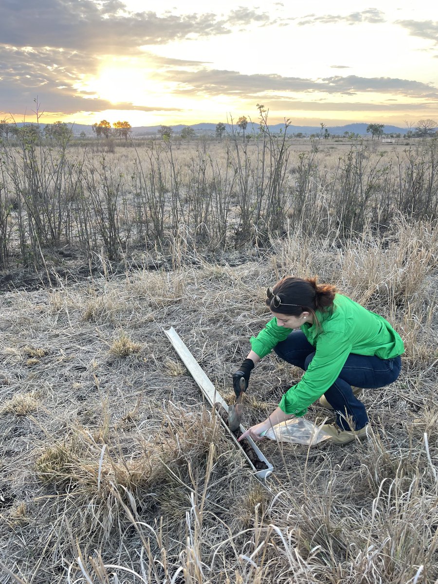 Integrity Ag taking soil samples at Barfield today for our soil carbon project.