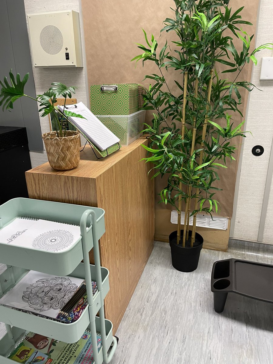 Mr. T's Seedlings tweet media