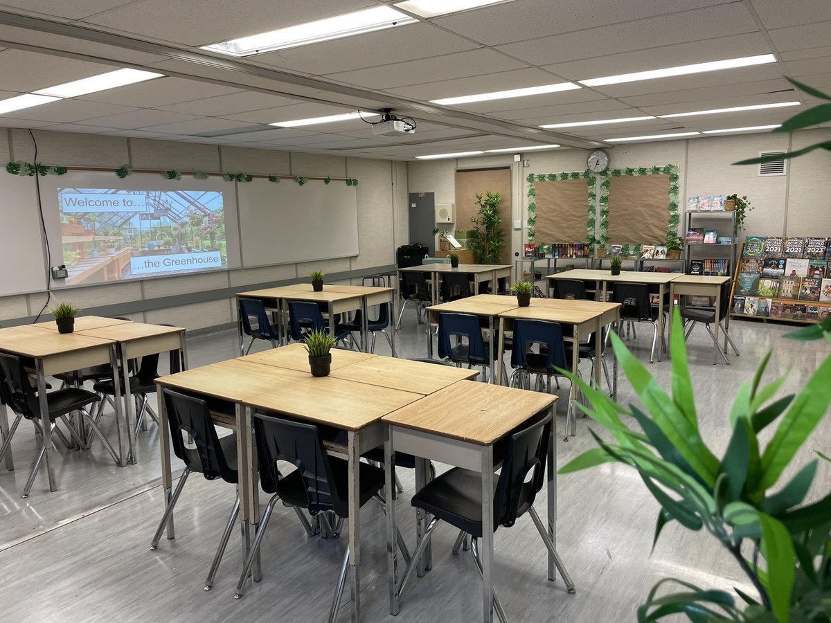 Mr. T's Seedlings tweet media