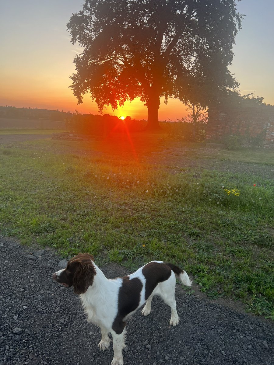 After a brilliant time at NAWGfest @nawgnews with a shortlisted story and a winning flash, it’s an evening of reflection 😄 #WritingCommunity