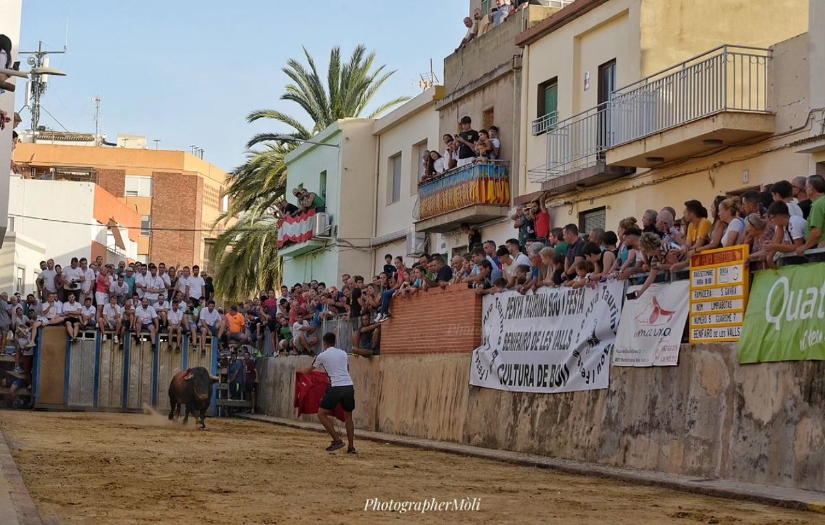 Asi estaba la Calle Alcalde Llueca para ver exhibición toros Peña Bou i festa.
Benifairo de les Valls
<a href="/bellonmario92/">Mario Bellón</a>
 <a href="/JavierAran6/">Javier Arán</a> 
<a href="/BurladeroJoveen/">BURLADERO JOVEN</a>
<a href="/torosenlacalle/">Revista Bous al Carrer</a>
#LosTorosNoInteresan
