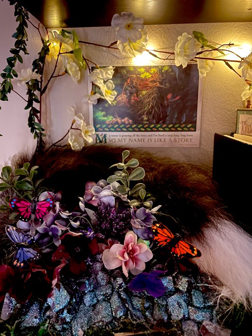 Enjoy the magical vibes coming at you from my bookshelf. #bookish #bookishhumor #bookworm #booktrovert<a href="/tag/bookworm"class="tags"><span>#bookworm</span></a><a href="/tag/bookish"class="tags"><span>#bookish</span></a><a href="/tag/extrovert"class="tags"><span>#extrovert</span></a><a href="/tag/bookishhumor"class="tags"><span>#bookishhumor</span></a>