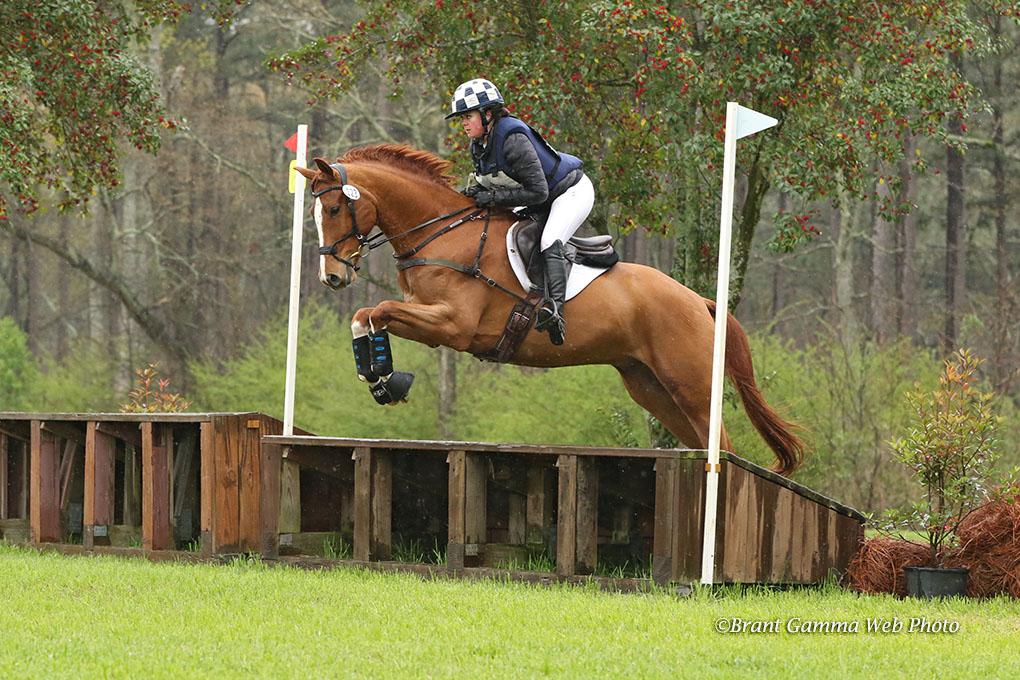 HM_eventing's tweet photo. Royal Rider Stirrups might just be my new favorite thing in the stirrup world.

📸 Brant Gamma

 #RoyalRiderStirrups #EquestrianFavorites #SaddleMagic #RideWithConfidence #EquestrianDreams #LightweightStirrups #HebetsMillerEventing #teamcheckers #equestrian #eventer https://t.co/RGjACQdXaV