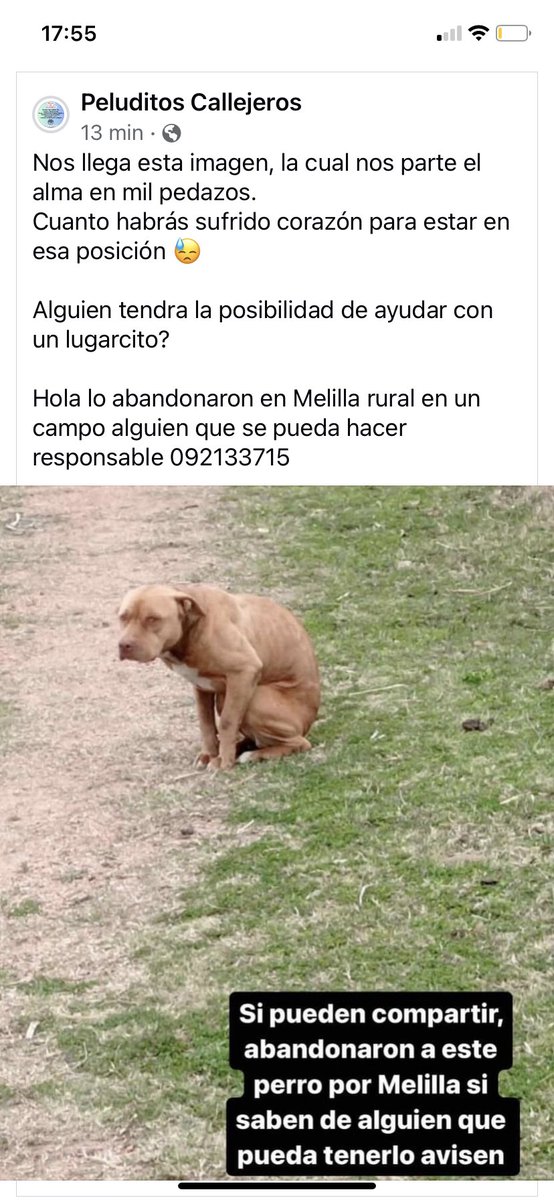 🙏🏻🙏🏻🙏🏻está muy triste 🙏🏻🙏🏻🙏🏻 algún vecino que lo retenga 🙏🏻🙏🏻🙏🏻
