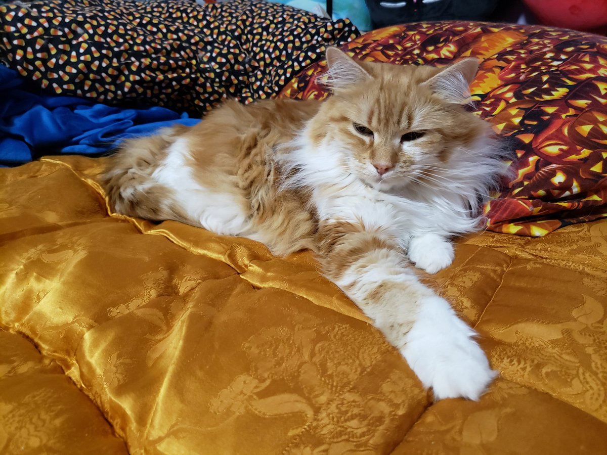 Seanan McGuire tweet media