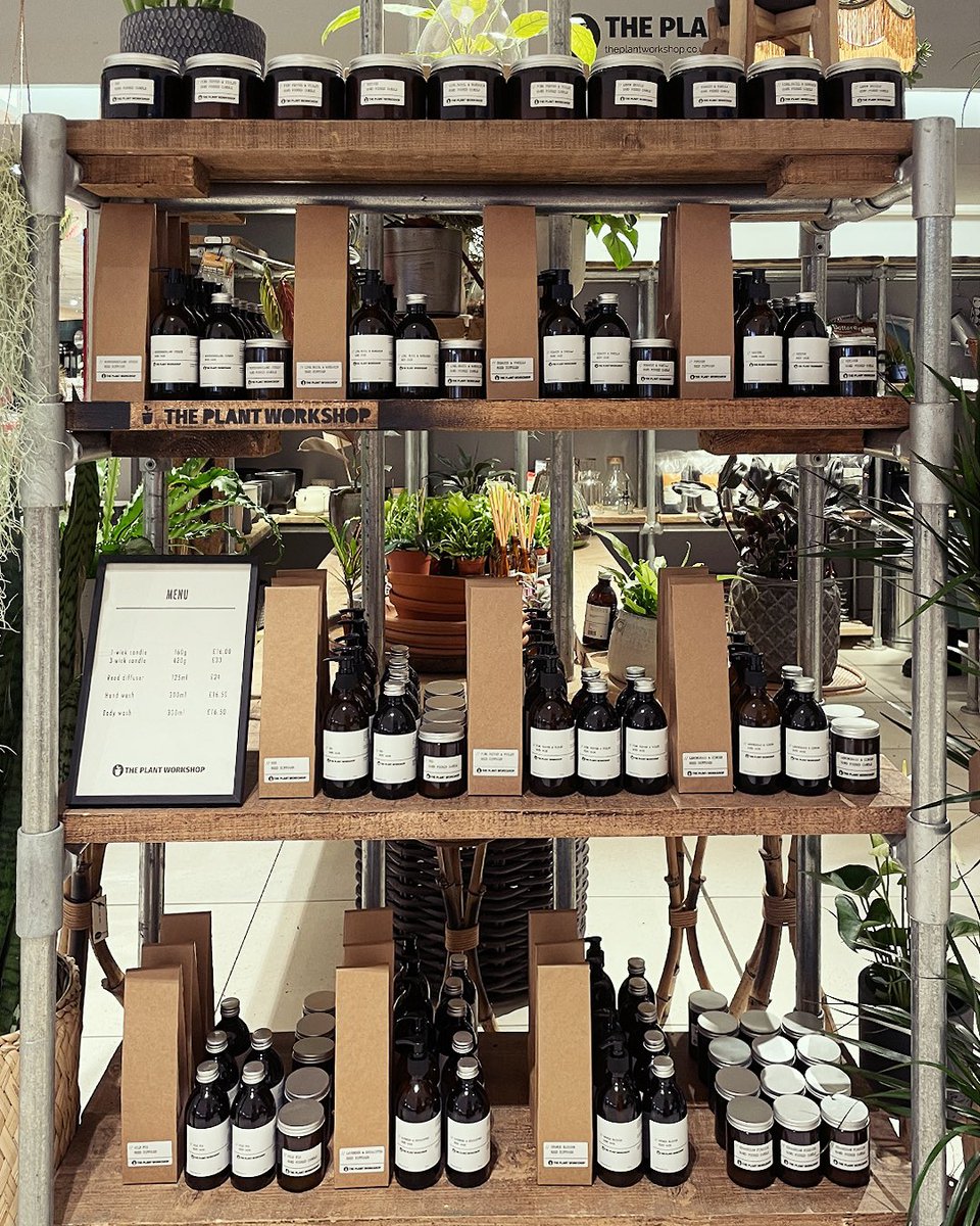WorkshopPlant's tweet photo. Did you know you can shop our houseplants and fragrance in @fenwickofficial Newcastle lower ground? Come and say hello! 🥰

#houseplants #smallbusiness #plants #candles #gifts https://t.co/QTyjrtYHEJ