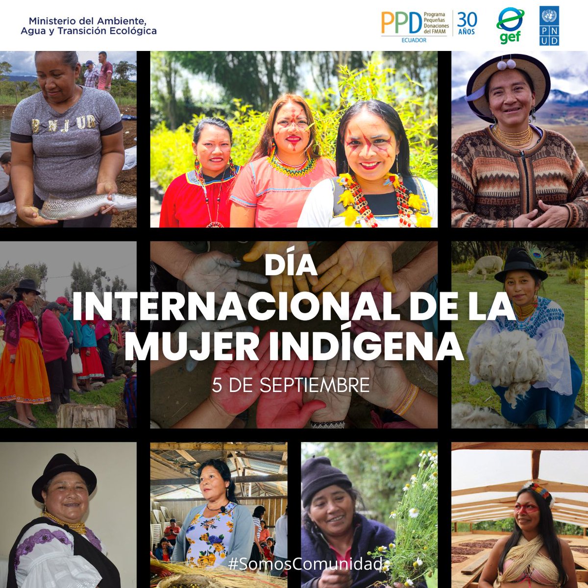 🌿 Hoy honramos y reconocemos con profundo respeto a las valientes mujeres indígenas de los Biocorredores por el Buen Vivir en Ecuador. Ellas son guardianas de la Naturaleza, cuidando páramos, manglares y selvas en sus tierras
<a href="/PNUDEcuador/">PNUD Ecuador</a> <a href="/GEF_SGP/">Small Grants Programme</a> <a href="/Ambiente_Ec/">ambiente_ec</a> <a href="/ciespal/">CIESPAL</a> <a href="/CODESPA/">CODESPA</a>