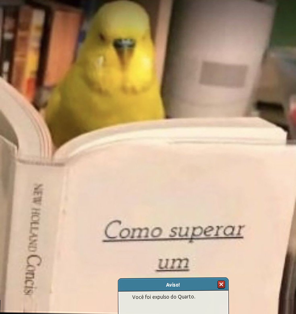 4QueijosOficial's tweet image. clube da leitura