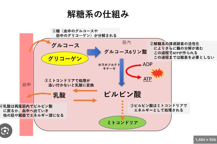 ジェーン tweet media