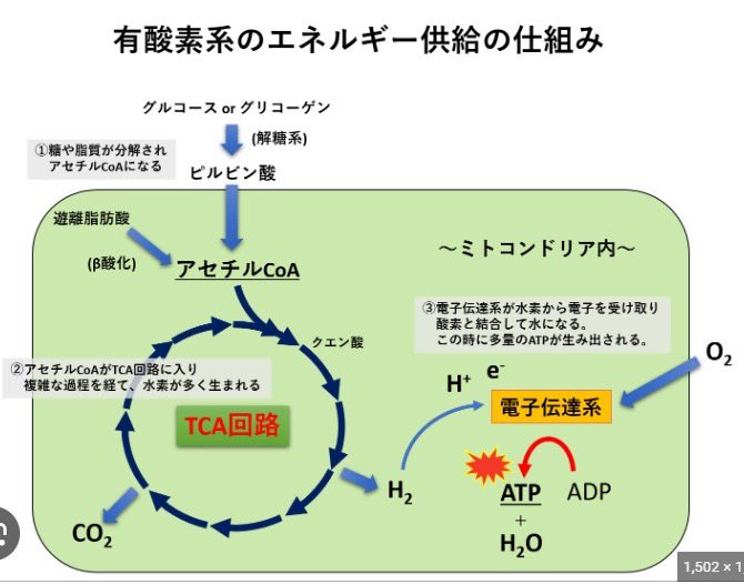 ジェーン tweet media
