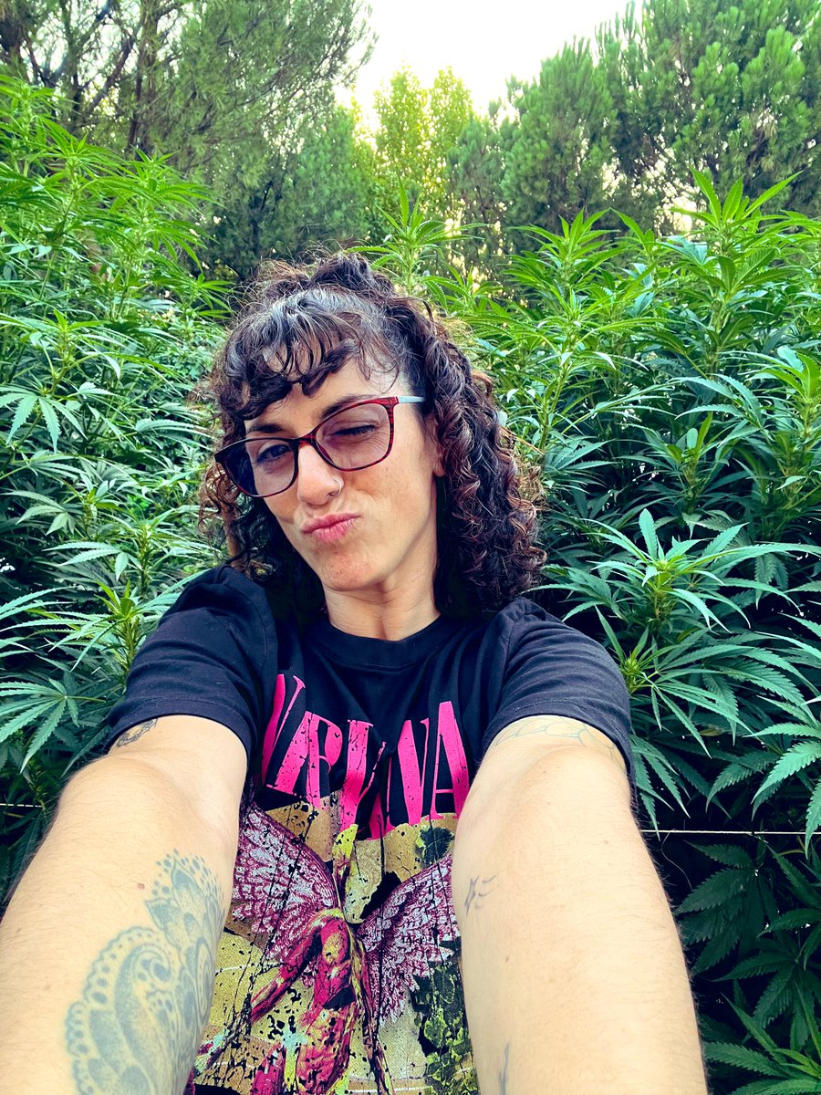 draweedoficial's tweet photo. #autocultivo 🌱
Retweet si compartís la pasión 💚 https://t.co/UDIhgJizcG