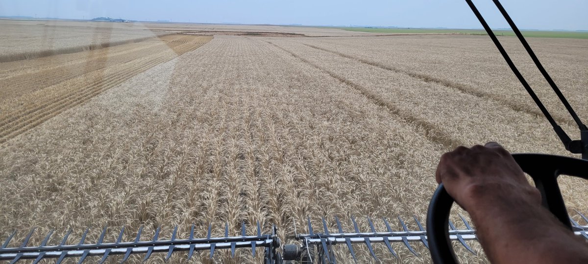 I don't get to drive the combine very often. I think it's time to change my job description during harvest