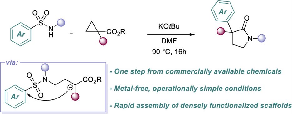 Greaney, Butterworth, and coworkers report a new synthesis of valuable pyrrolidinone scaffolds from widely available reagents via Smiles-Truce cascade. Check it out in #OrgLett <a href="/greaneygroup/">Greaney Group</a> <a href="/lifearc1/">LifeArc</a> @tom__sephton pubs.acs.org/doi/10.1021/ac…