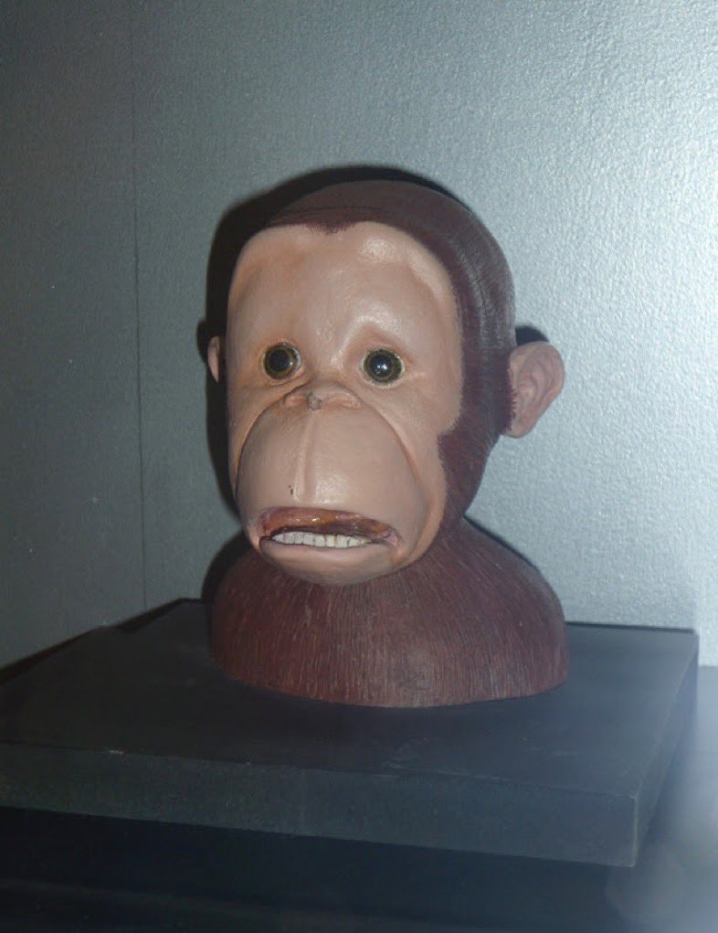 Behind The Scenes Pics That Look Like Shitposts tweet media