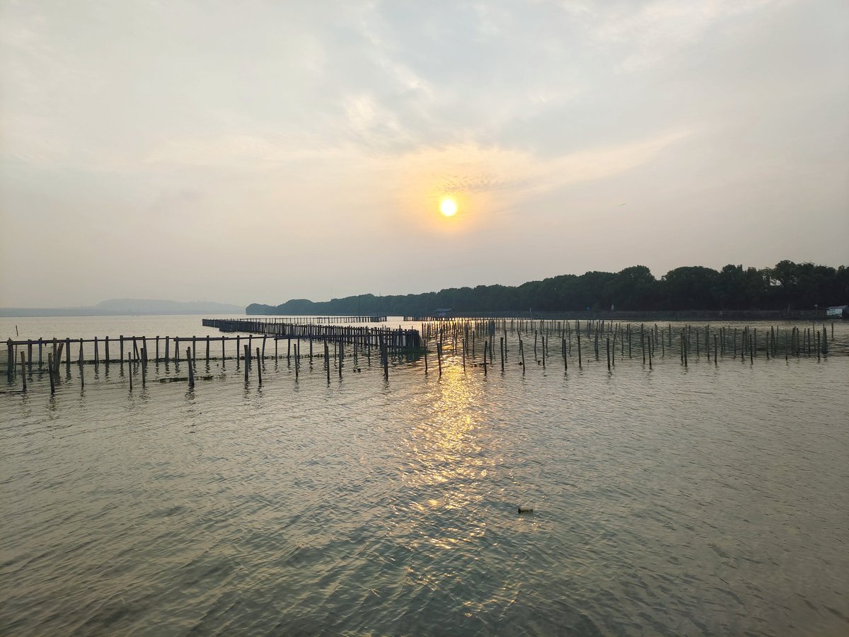 Wong140571's tweet photo. 最近什么情况，僵尸粉暴涨 https://t.co/brNqCEfznD