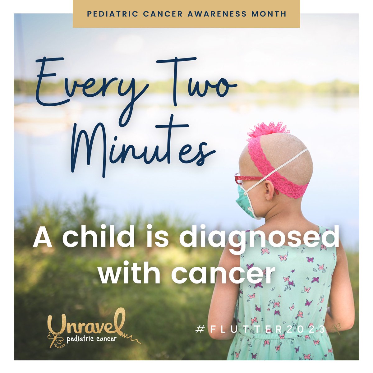 Jennifer Shane tweet media