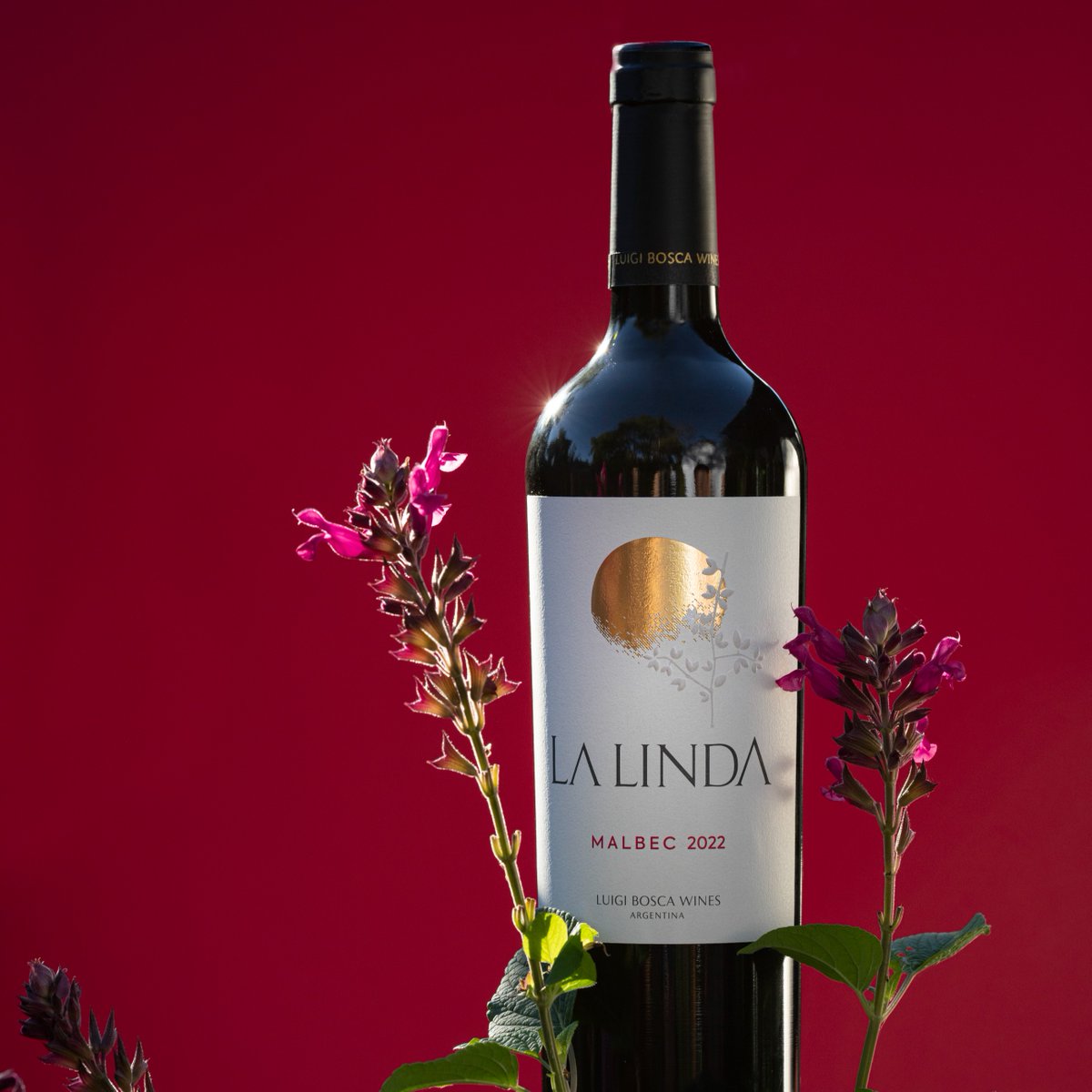 Soak up this summer weather and partner your Luigi Bosca La Linda Malbec (now $2 off/bottle) with a grilled steak! Read Harry's latest blog (bit.ly/3JAIIFC) to find out why this price-friendly wine is perfect for September. #LCBO #FWMCanada