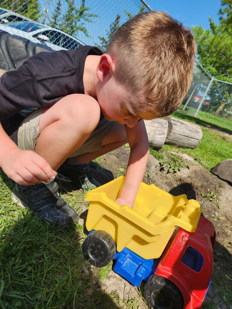 Holley DOrazio tweet media