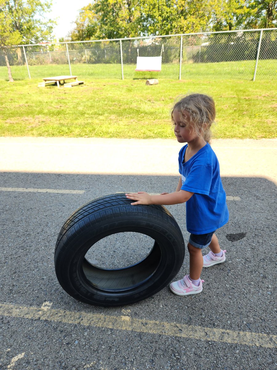 Holley DOrazio tweet media