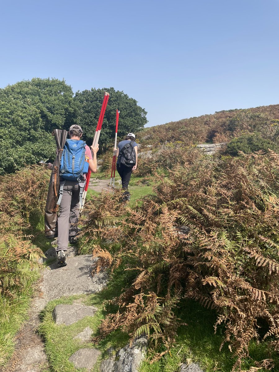 On days like this I have to say I think I have the best job in the world! Fieldwork on #Dartmoor oak woodlands is special ❤️plenty of regen oak found and measured @PlymUni @PlymEarth @EnvSciPlymUni thanks @JamesBuckley_85 @MayaNeville3