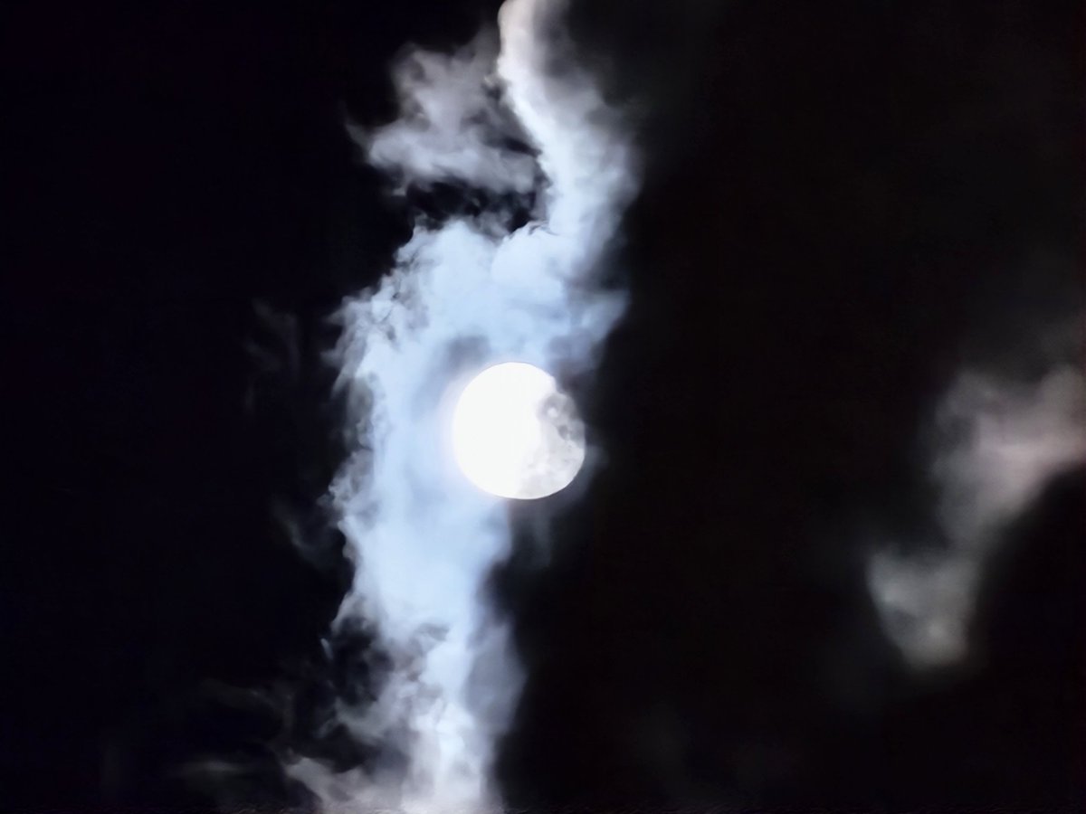 सुनसान रातमा
चाँदनी चाँद र चन्द्रमाको चमक
कानको माथिल्लो भागमा
चिमोटिरहने पवन
साथ हरपल उनको नजरको गहिराइमा
फूलको सुवास कोहिलीको आवाज
बिर्साउँछ मलाई उनको साथले
लाग्छ समय यहिँ रोकियोस्
म उनको बाहुमा खेलिरहूँ
हातका रेखाहरूलाई झुक्काएर
शितका थोपाहरूमा पौडिन मन छ
अँगालो बाँधेर
#बिरोजी