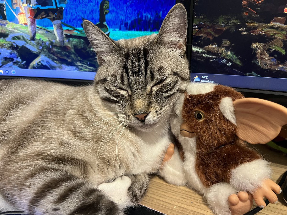 Well..someone's got a new friend