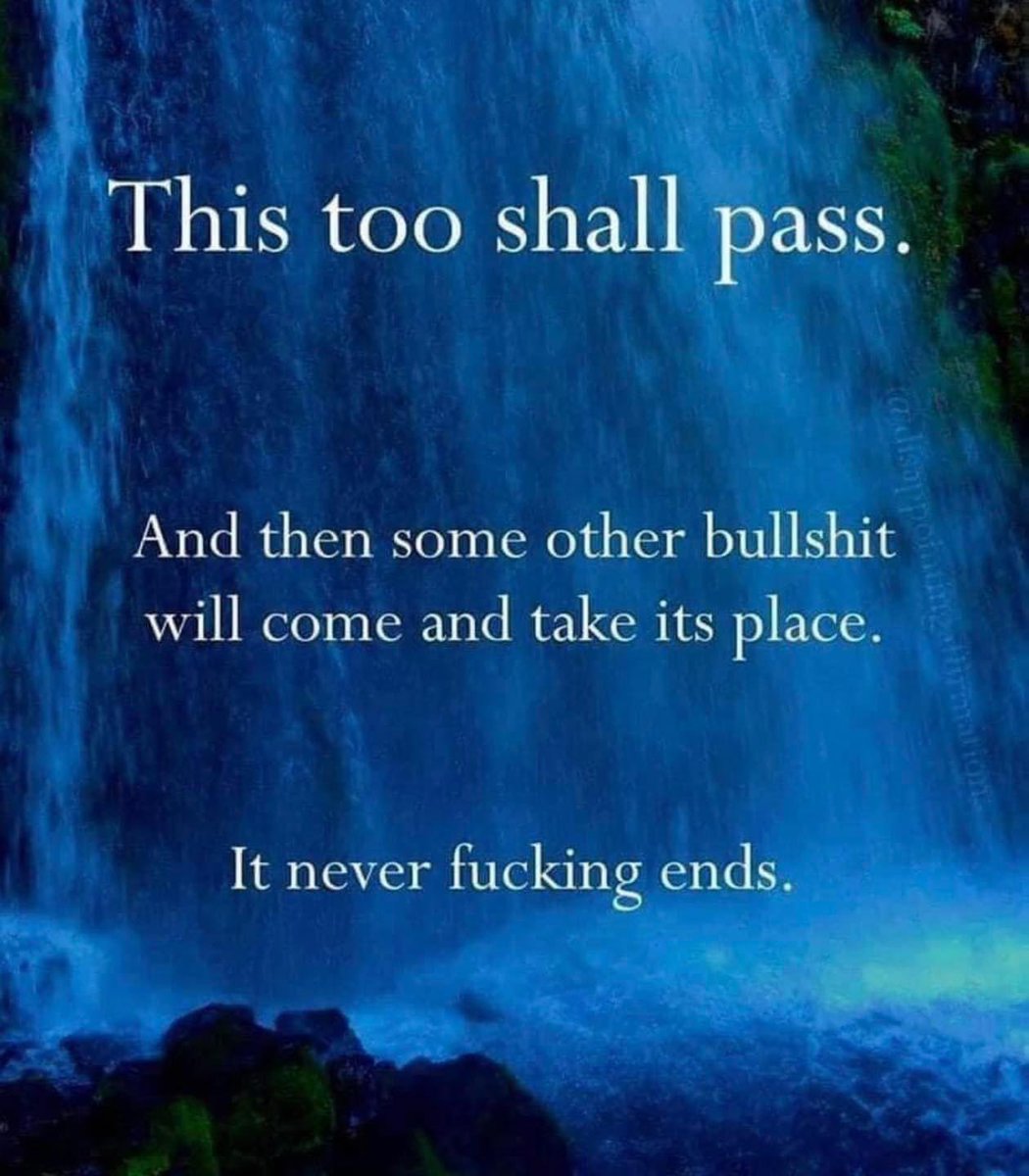 annikakes's tweet photo. I confess this made me laugh out loud. https://t.co/qlQGMo7W5H