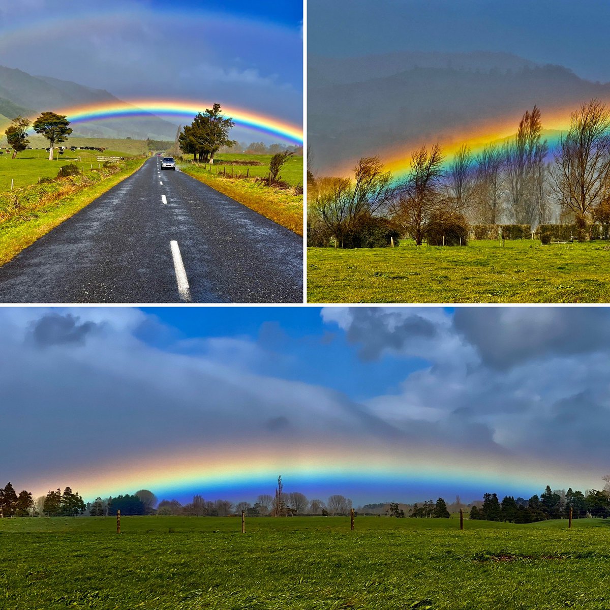 On my way to #IFPA2023 meeting in Rotorua, New Zealand 🙏🇳🇿