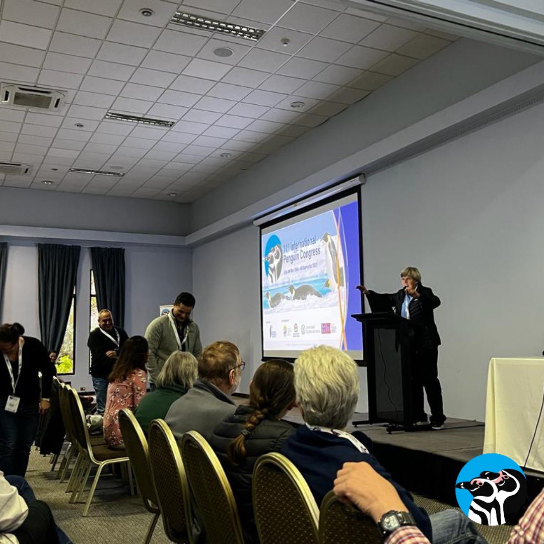 International Penguin Conference tweet media