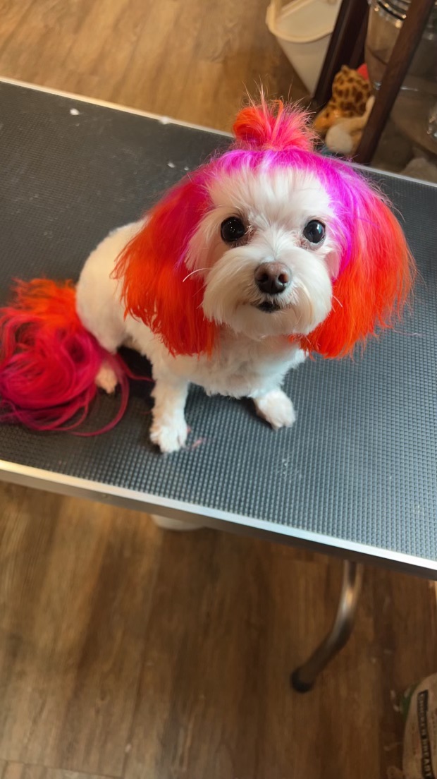 Sophie <3