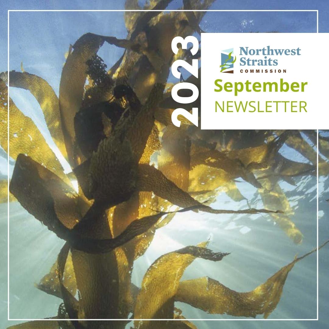 Northwest Straits tweet media